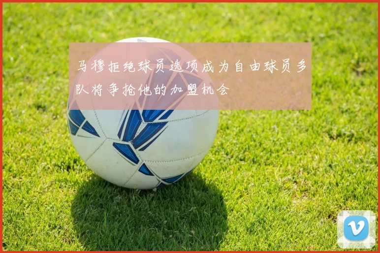 马穆拒绝球员选项成为自由球员多队将争抢他的加盟机会