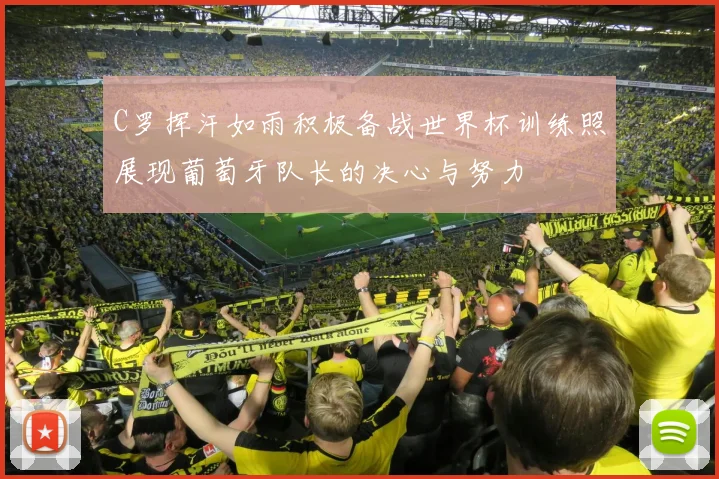 C罗挥汗如雨积极备战世界杯训练照展现葡萄牙队长的决心与努力