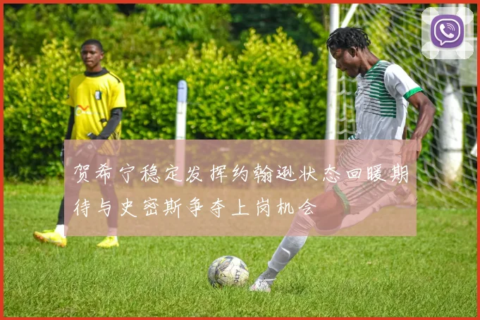 贺希宁稳定发挥约翰逊状态回暖期待与史密斯争夺上岗机会