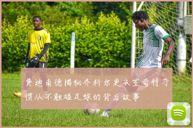 费迪南德揭秘乔科尔更衣室奇特习惯从不触碰足球的背后故事