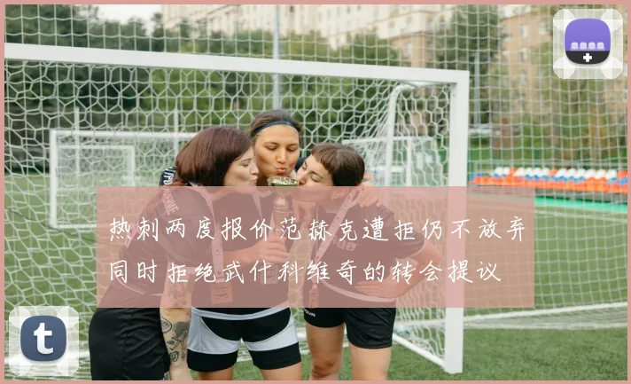 热刺两度报价范赫克遭拒仍不放弃同时拒绝武什科维奇的转会提议