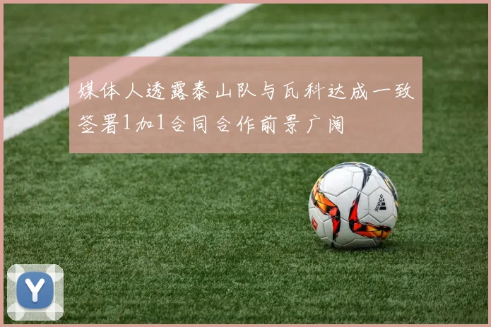 媒体人透露泰山队与瓦科达成一致签署1加1合同合作前景广阔