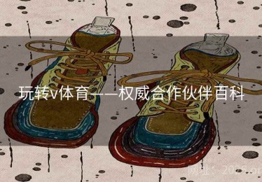 玩转v体育——权威合作伙伴百科