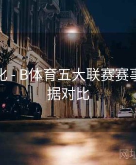 功能优化 - B体育五大联赛赛事历史数据对比