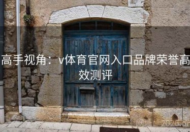 高手视角：v体育官网入口品牌荣誉高效测评
