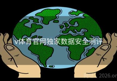v体育官网独家数据安全测评