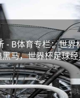 进球分析 - B体育专栏：世界杯历史上的经典黑马，世界杯足球经典进球