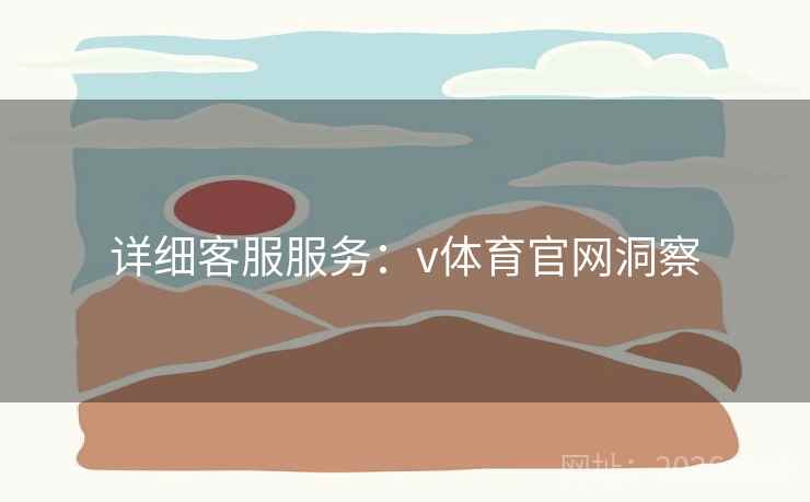 详细客服服务：v体育官网洞察
