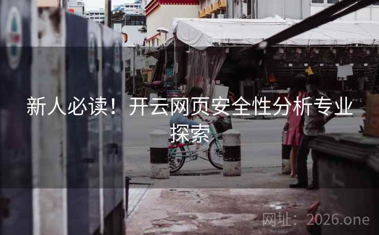 新人必读！开云网页安全性分析专业探索