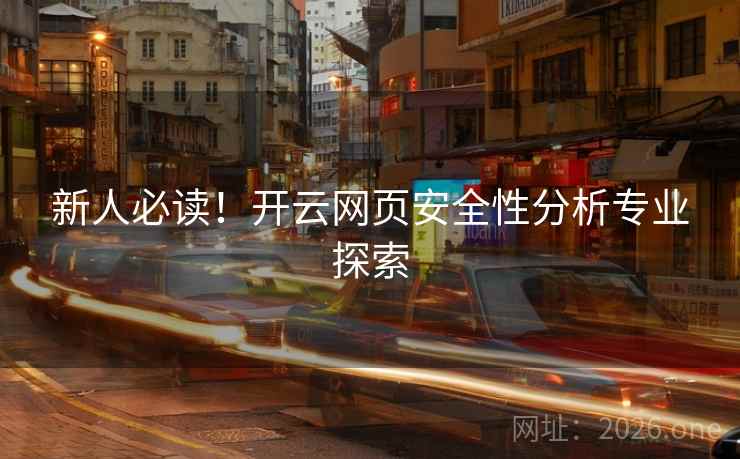 新人必读！开云网页安全性分析专业探索