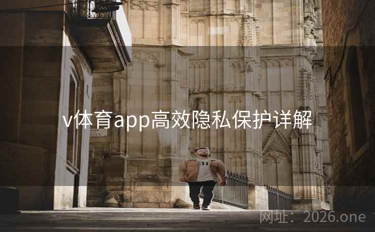v体育app高效隐私保护详解
