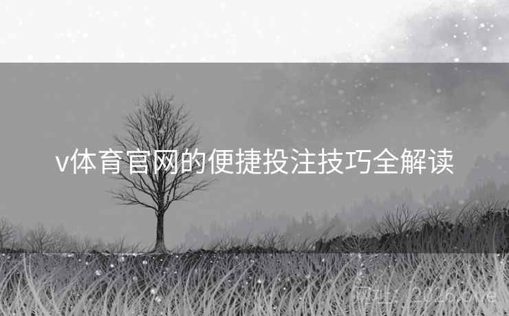 v体育官网的便捷投注技巧全解读