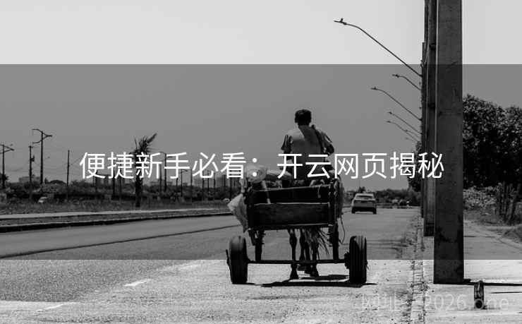 便捷新手必看：开云网页揭秘