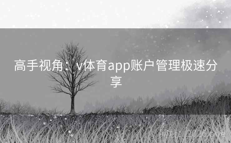 高手视角：v体育app账户管理极速分享