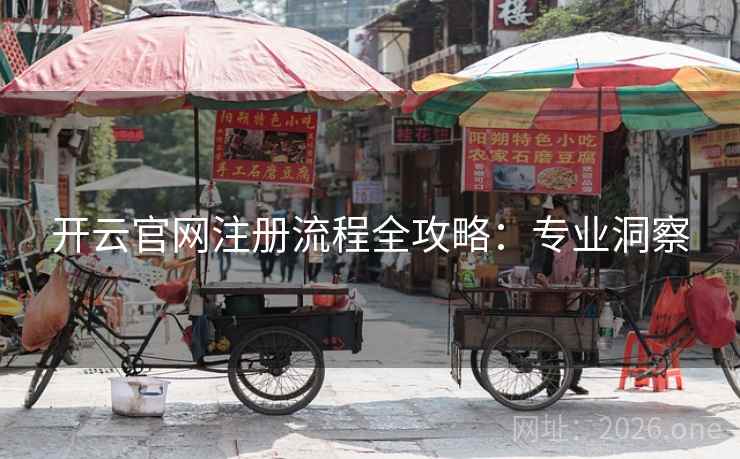 开云官网注册流程全攻略：专业洞察