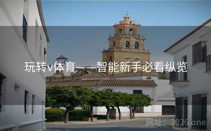 玩转v体育——智能新手必看纵览