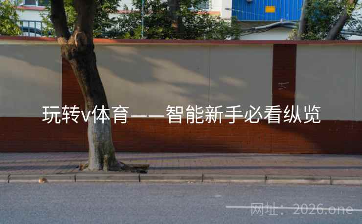 玩转v体育——智能新手必看纵览