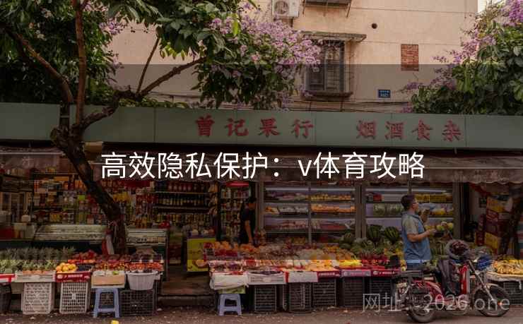高效隐私保护：v体育攻略