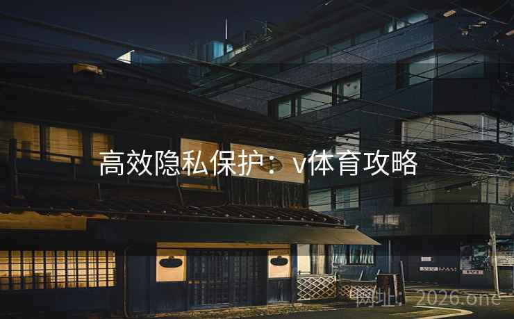 高效隐私保护：v体育攻略