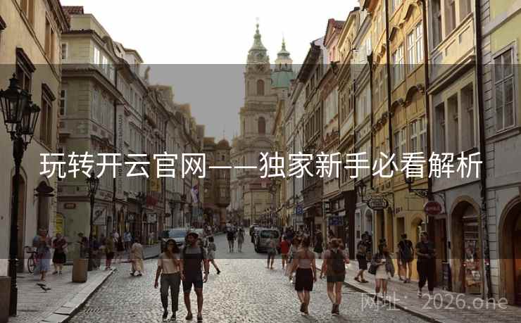 玩转开云官网——独家新手必看解析