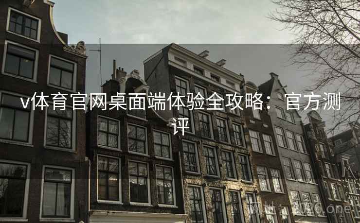 v体育官网桌面端体验全攻略：官方测评