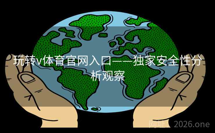 玩转v体育官网入口——独家安全性分析观察