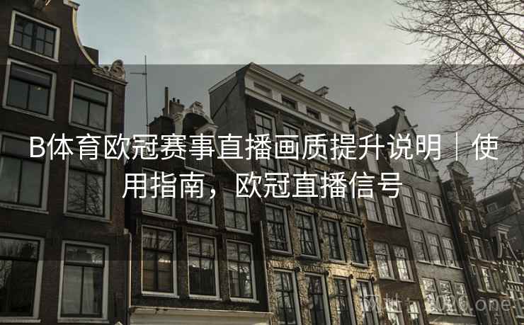 B体育欧冠赛事直播画质提升说明｜使用指南，欧冠直播信号