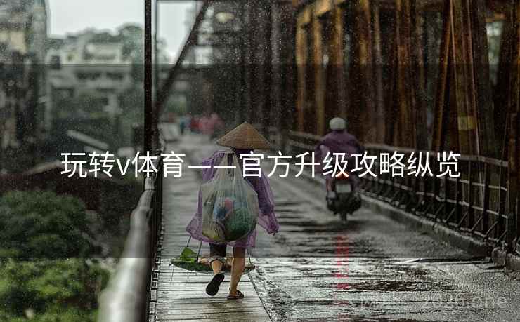 玩转v体育——官方升级攻略纵览