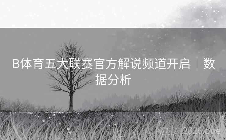 B体育五大联赛官方解说频道开启｜数据分析