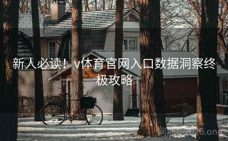 新人必读！v体育官网入口数据洞察终极攻略