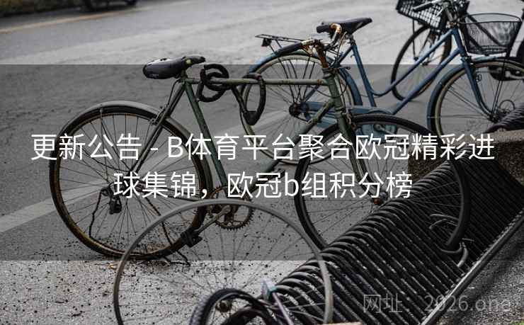 更新公告 - B体育平台聚合欧冠精彩进球集锦，欧冠b组积分榜