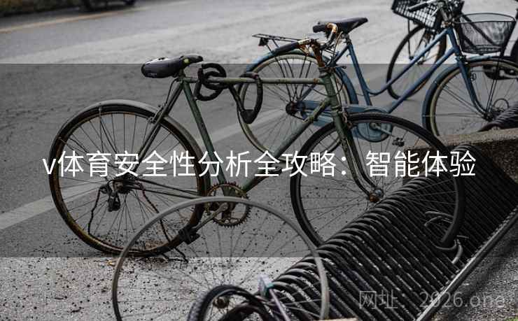 v体育安全性分析全攻略：智能体验