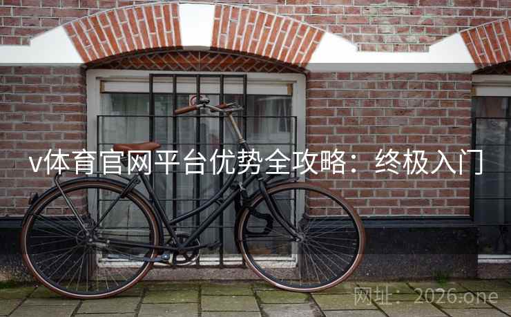 v体育官网平台优势全攻略：终极入门