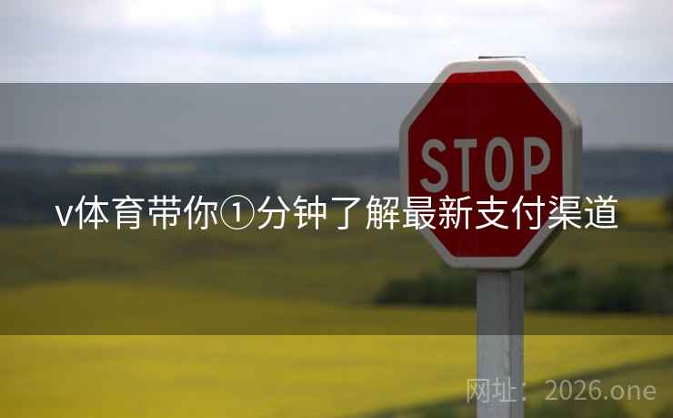 v体育带你①分钟了解最新支付渠道