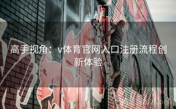 高手视角：v体育官网入口注册流程创新体验