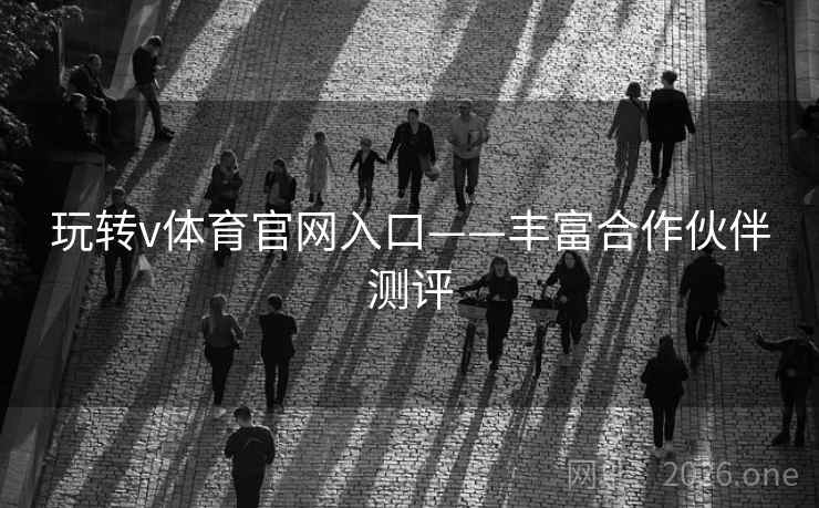玩转v体育官网入口——丰富合作伙伴测评